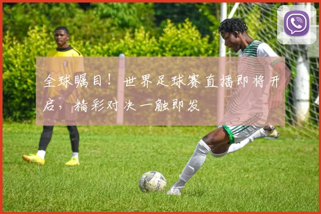 全球瞩目！世界足球赛直播即将开启，精彩对决一触即发