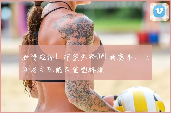 激情碰撞!守望先锋OWL新赛季,上海龙之队能否重塑辉煌